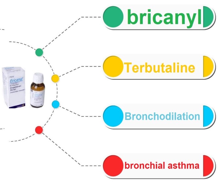 bricanyl