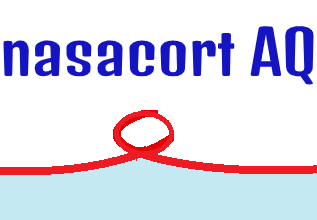 Photo of NASACORT AQ نازاكورت إي كيو