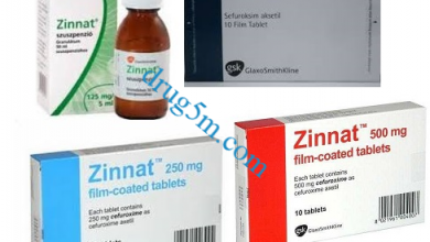 zinnat زينات