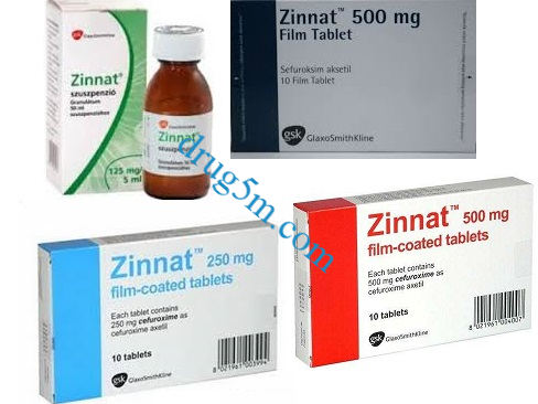zinnat زينات