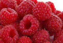 Photo of Raspberry Ketones حبوب راسبيري كيتون طبيعية لضبط وزن الجسم