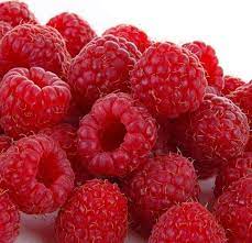 Photo of Raspberry Ketones حبوب راسبيري كيتون طبيعية لضبط وزن الجسم