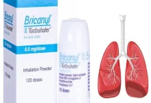 bricanyl