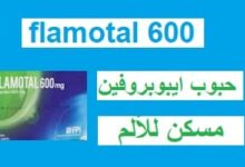 FLAMOTAL 600